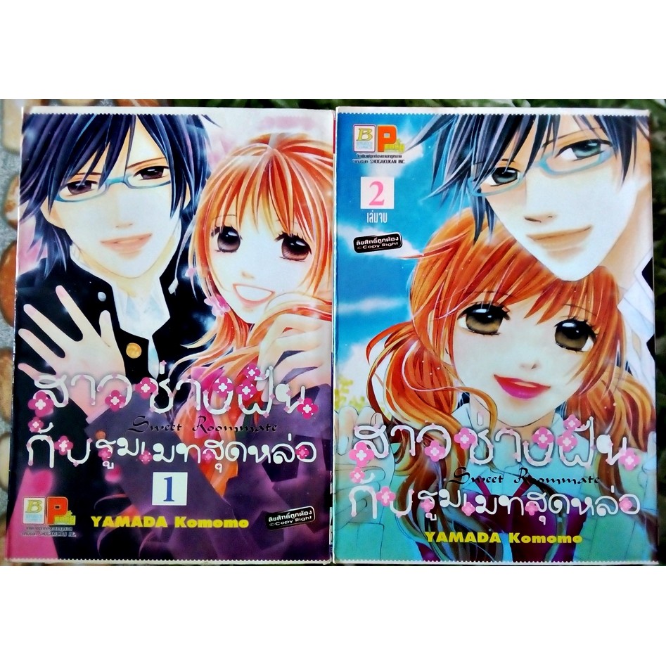 House Book A Dreamman And Handsome Roommate 2 Volumes Finished Yamada