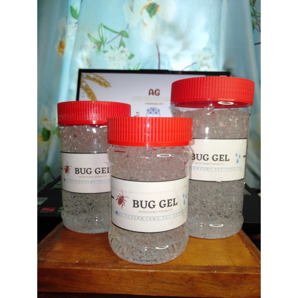 Water Crystal Bug Gel (NutriGel) Good water source for insects