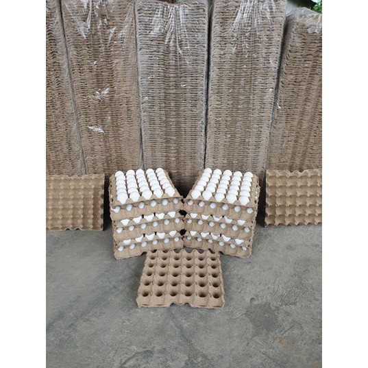 Traditional Egg . Carton Tray Egg Tray . Karton Tray Itlog by