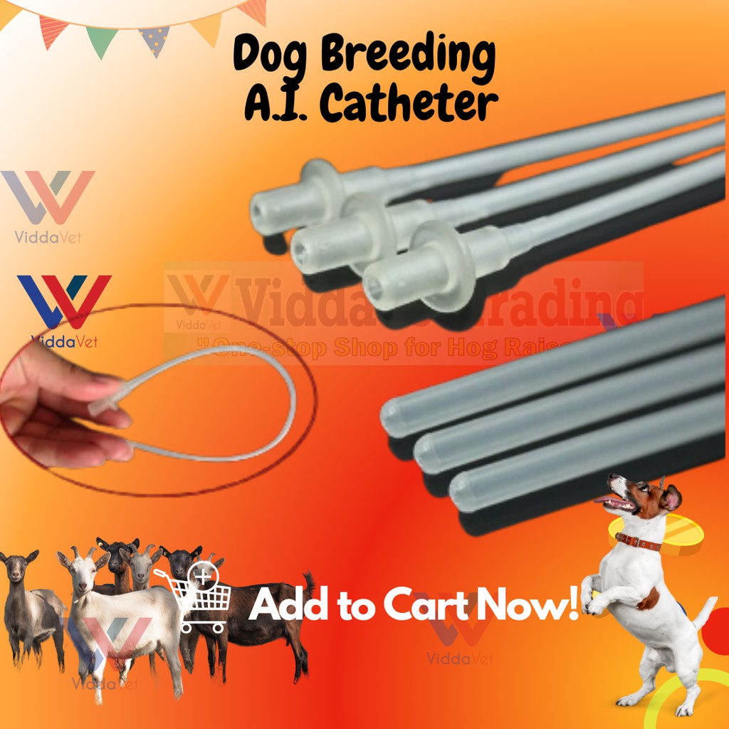 10 Pcs Disposable AI Catheter For Dog & Goat Artificial Insemination