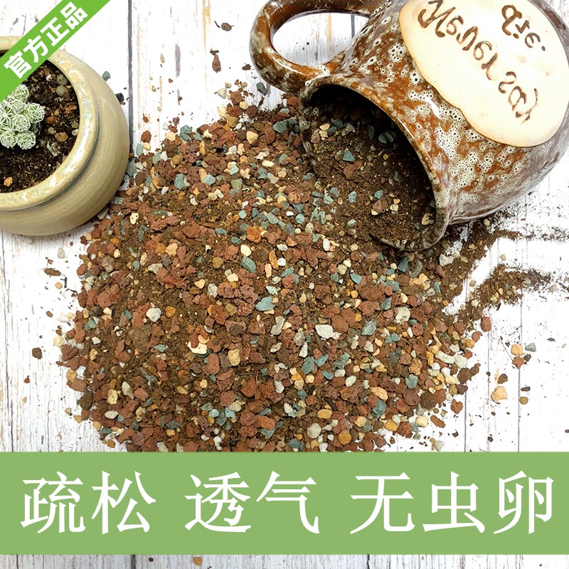 Garden Soils Succulent Nutrient Soil Particles Soil Large Bag Special