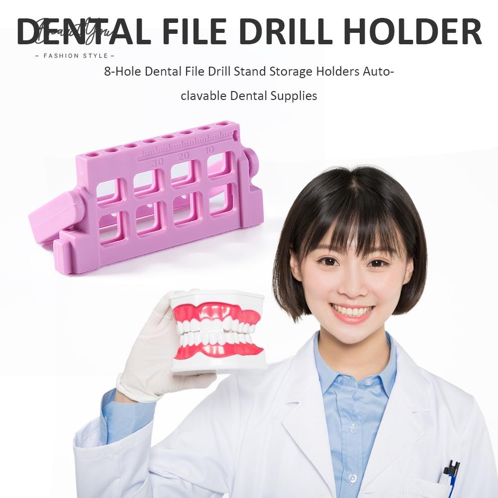 Autoclavable Dental Endodontic Files Drills Dispenser Retainer Dental