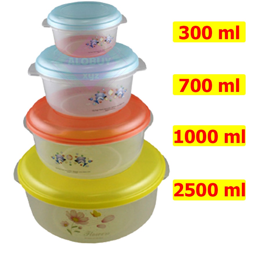 Set Of 4 Transparent Plastic Food Containers With Lids, Freezers Safe