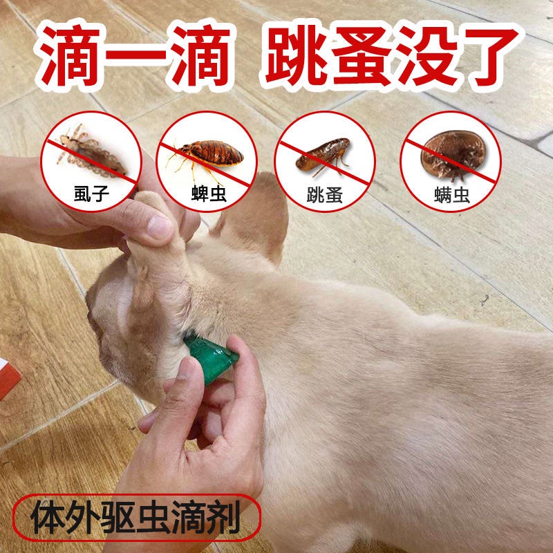 ♝ﺴCat flea medicine dog external deworming drops to remove ticks, lice