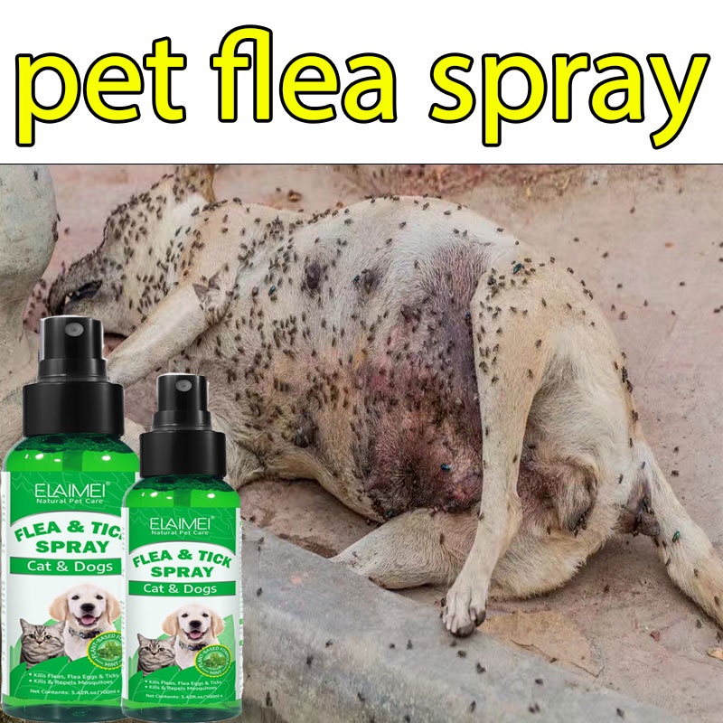 Authentic & Effective! tick and flea killer for dogs fleas and ticks