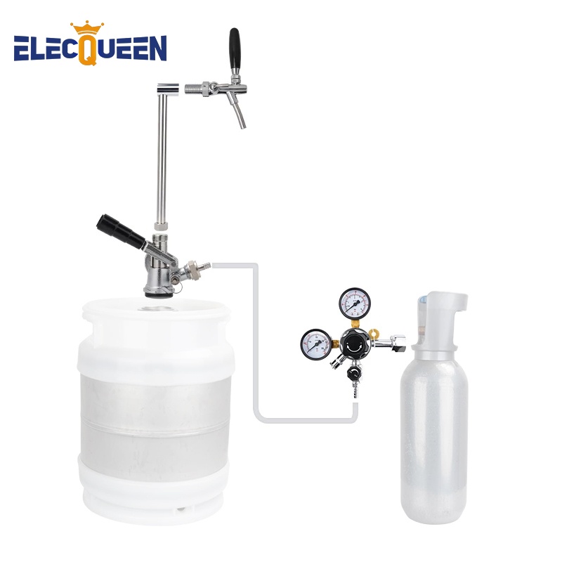 2022 NEW Homebrew Beer Dispensing Equipment, Craft Beer Carbonated
