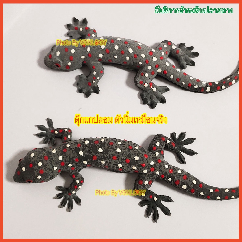 Fake gecko, gecko, toy, ripandloop model, small gecko, large gecko
