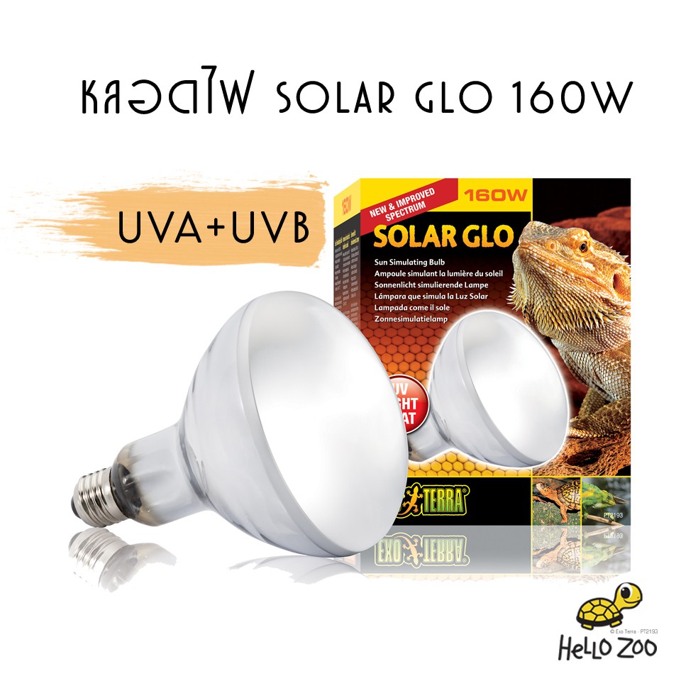 Exo Terra Solar Glo 160W Simulating Light Bulb Heating UVA + UVB Rays