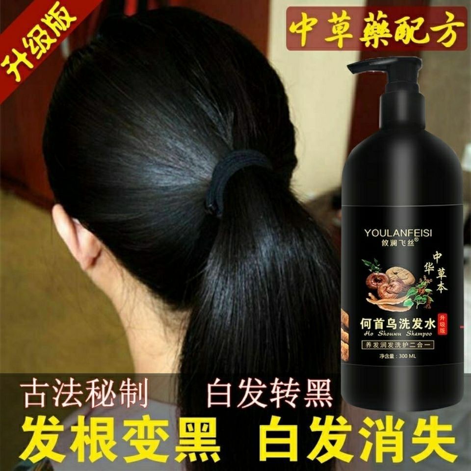 White Hair Nemesis Herb Polygonum Multiflorum White Hair Turning Black