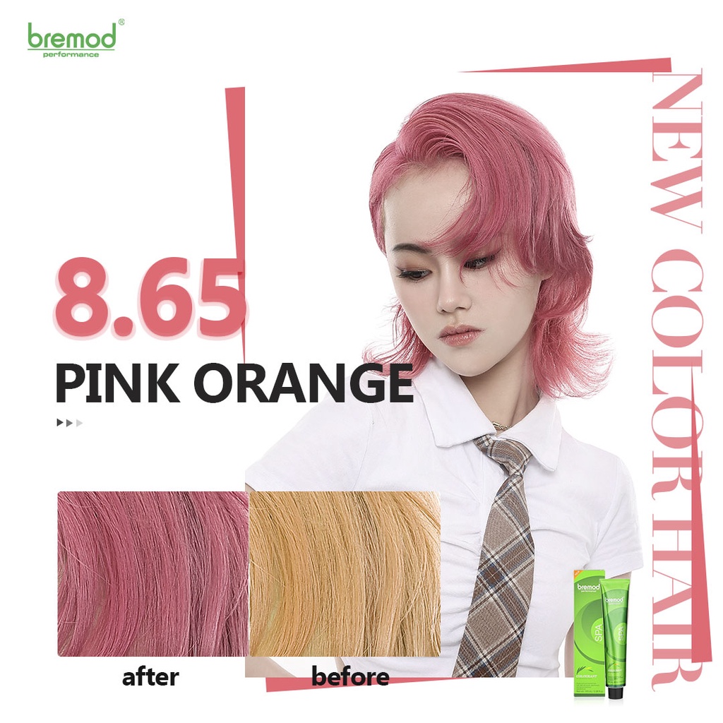 Bremod Hair Color Hair Dye 100 ml Fashion Color (Ash /Ash Gray / Purple