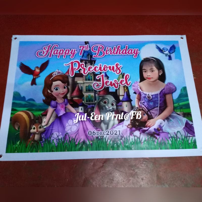 JulEen Sofia the First Tarpaulin 2x3 feet Shopee Philippines