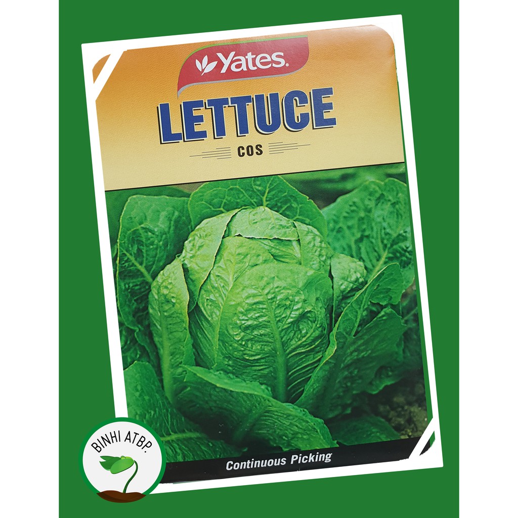Yates Lettuce Cos Romaine Seeds Shopee Philippines