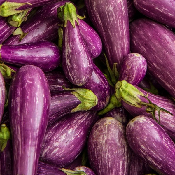 Eggplant Seeds Fairy Tale Heirloom Eggplant Seeds Fairytale