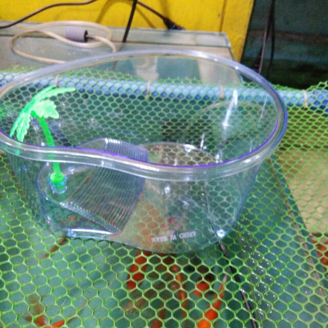 Plastic turtle tub small and large Shopee Philippines