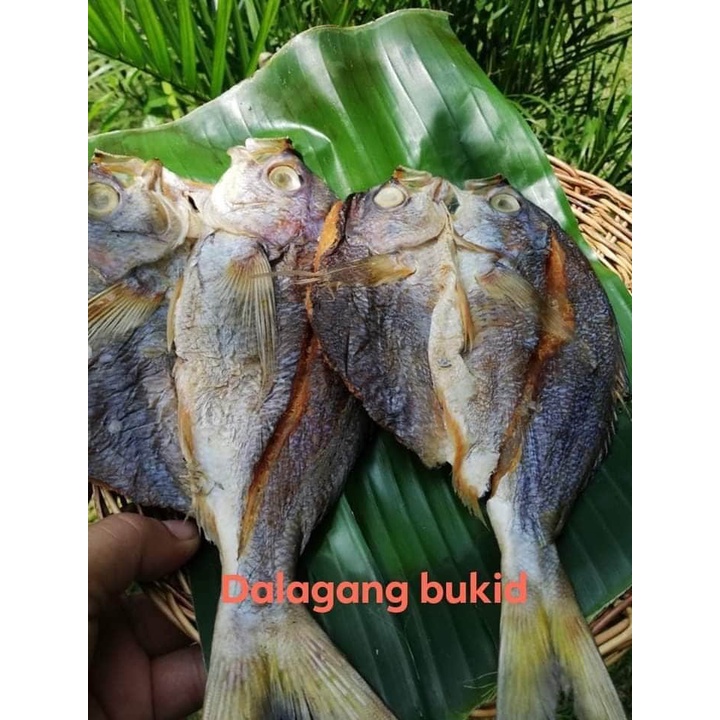 Fish Dried 500g Dalagang bukid fish Fresh Dried Dalagang bukidfrom