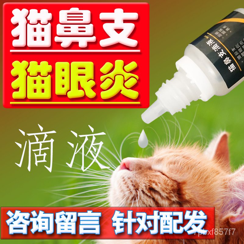 Cat Eye Drops Ophthalmia Branch Nasal Herpes Virus Dropping Liquid Cat