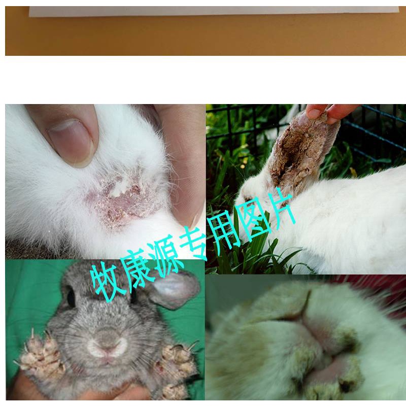 10ml injection rabbit fur animal skin disease Special purpose chemicals