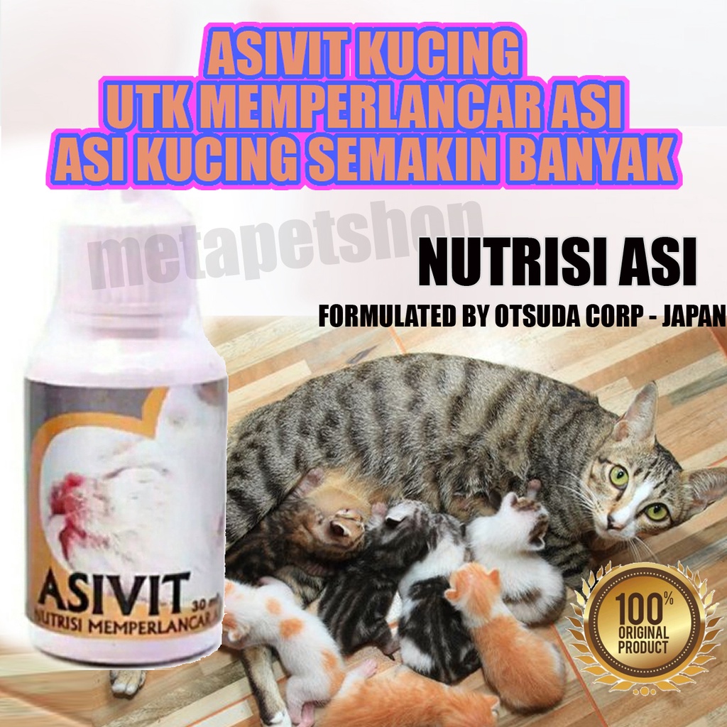 Breastfeeding Cat Vitamins Asivit Accelerates Cat Breast Milk Cat