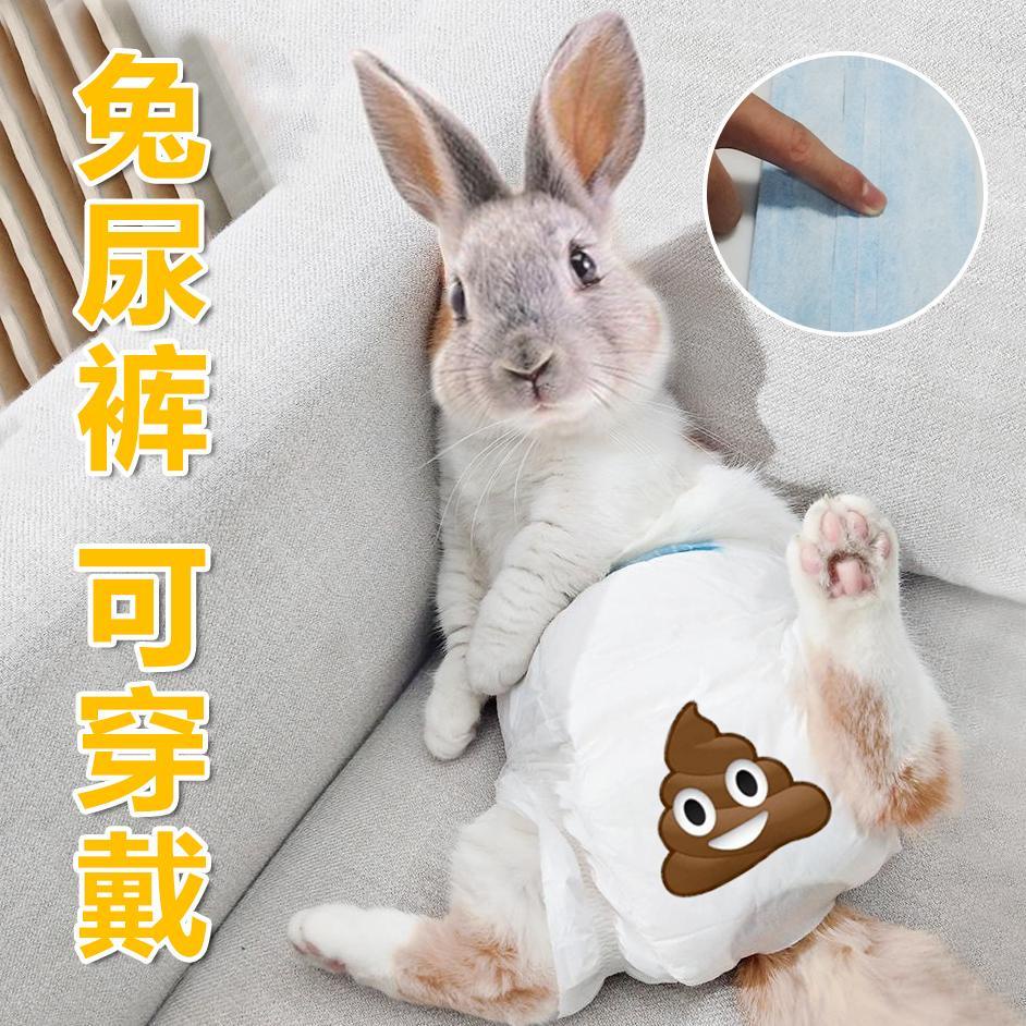 Diapers wear small pet rabbit rabbit diapers nappies physiolRabbit Baby