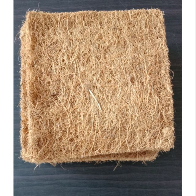 Coco Fiber Mat/Microgreens Mat Shopee Philippines