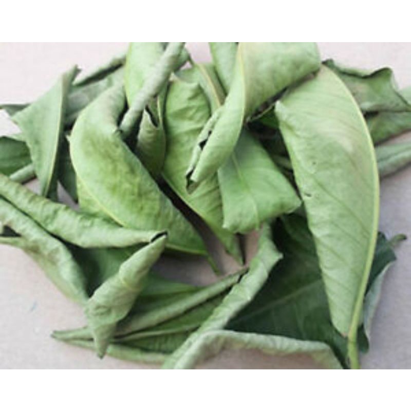Pomelo Dried Leaves. Shopee Philippines