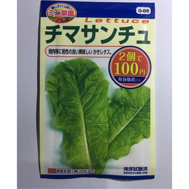 Seed japanese lettuce Shopee Philippines