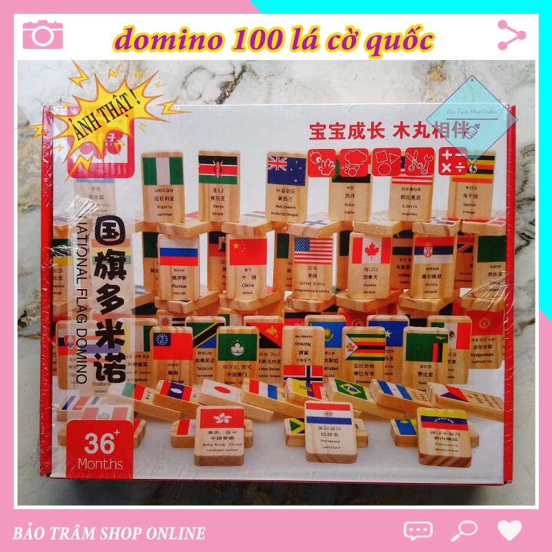 Domino wooden toy Flags of countries around the world with 100