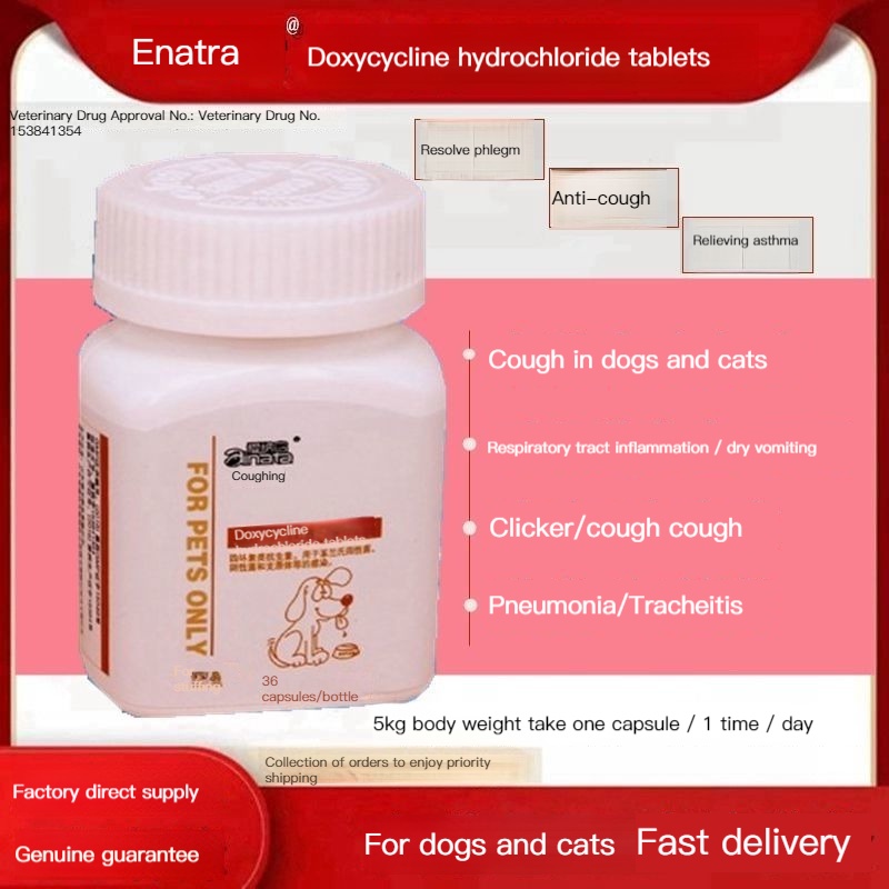 Dog Cough Ina It Coughing Pet Cold Kennel Dry Cat Medicine Pneumonia