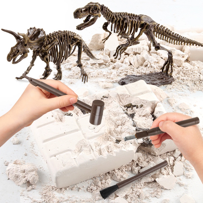 Educational Dinosaur Fossil Excavation Toys Archaeological Dig Toy DIY Assembly Model Toys for