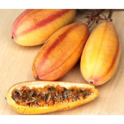 Mixed Seeds Banana passionfruit, PASSIFLORA MOLLISSIMA passion fruit flower seed 10 SEEDS R9BF