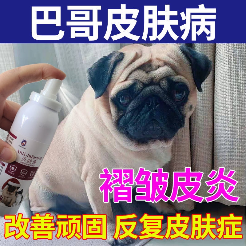 [Pug Skin Disease] Dog Disease Spray Fungus Dermatitis Mites Eczema