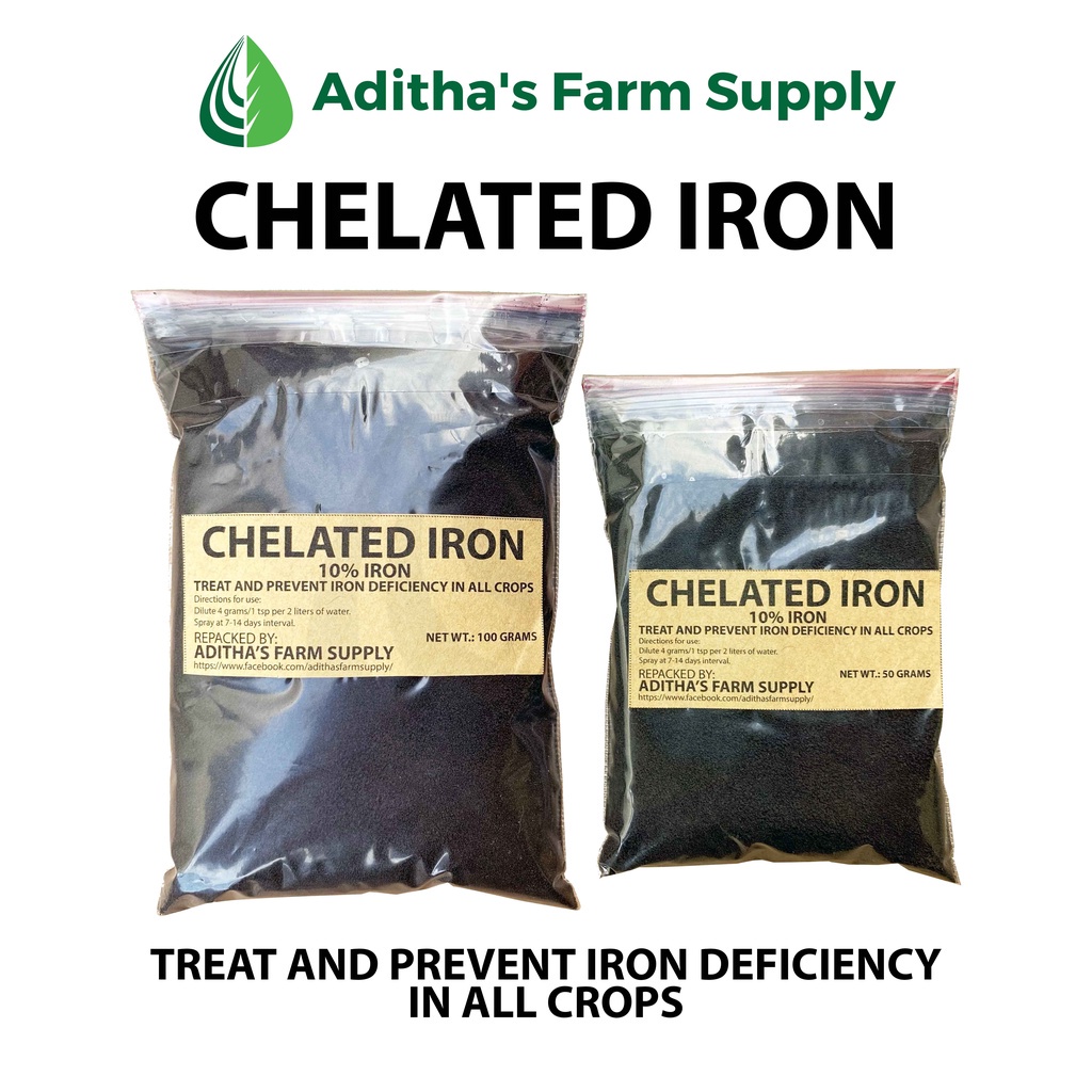 ☄ Chelated Iron 10 Treat And Prevent Iron Deficiency (50 Grams/100