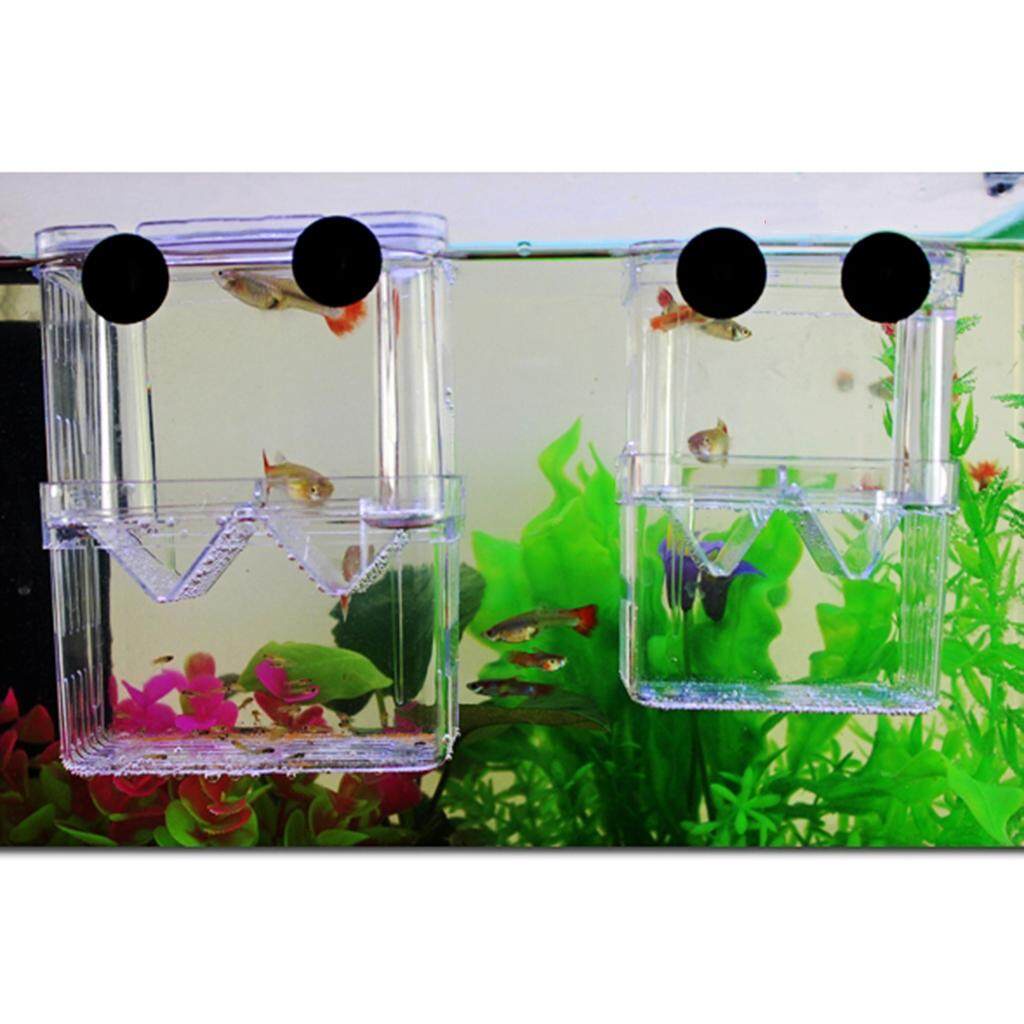 Aimishion Transparent Aquarium Breeding Box for Aquarium Egg Shopee