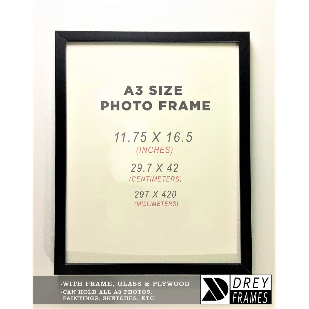 A3 (11.75 "x 16.5") Wall Hang Picture Frame Shopee Philippines