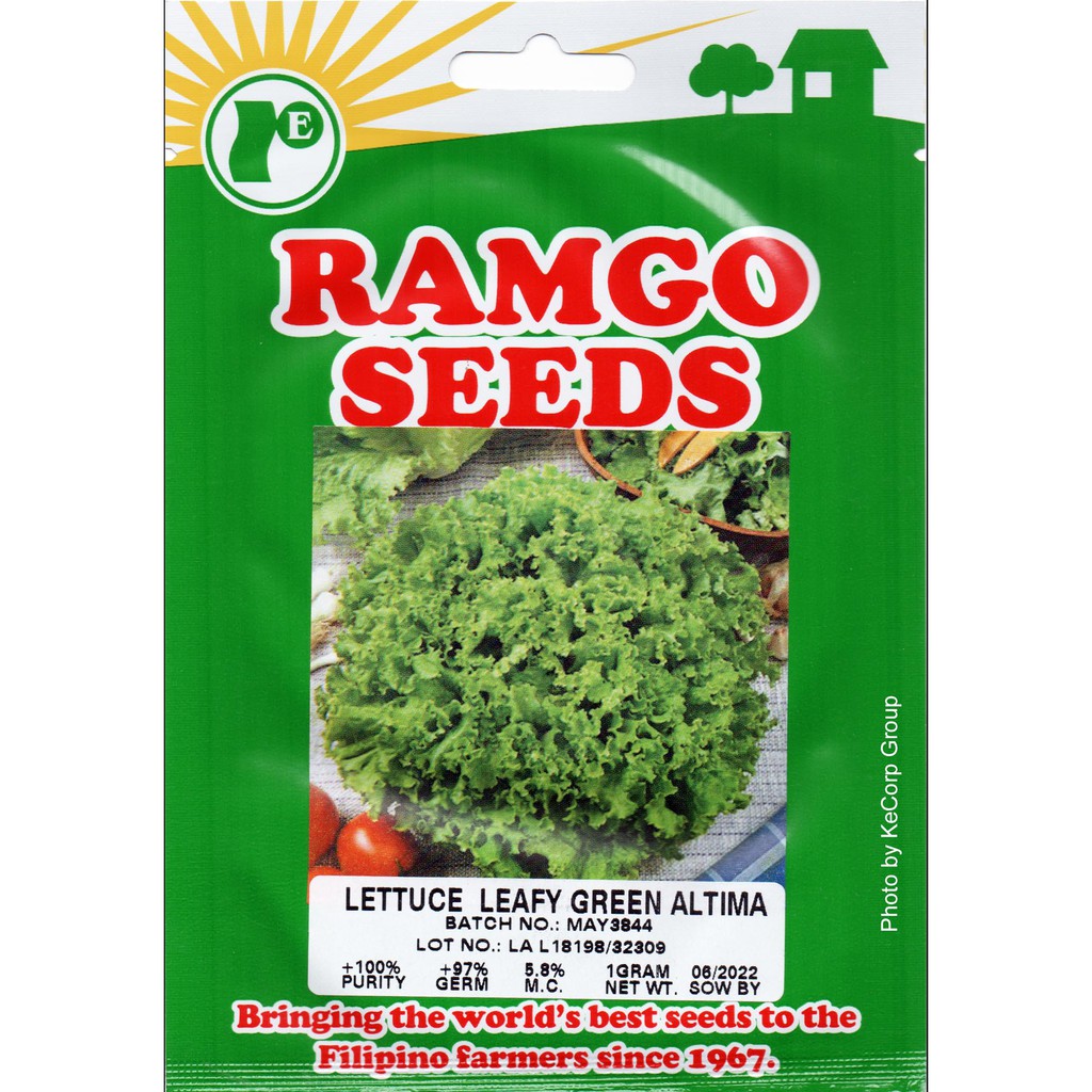 Ramgo & Yates Lettuce Seeds Sold per Pack per Variety KECORP_S1