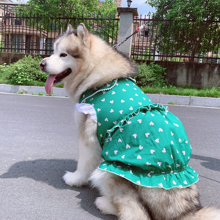 Girl Love Dress Dog Clothes Puppy Clothes Cat Clothes Pet Clothes Dog Dress Puppy Dog Dress Cat