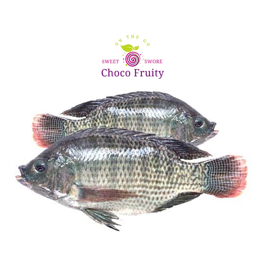 Fresh Tilapia Fish/Seafood 1kg (Delivery within Metro Manila and