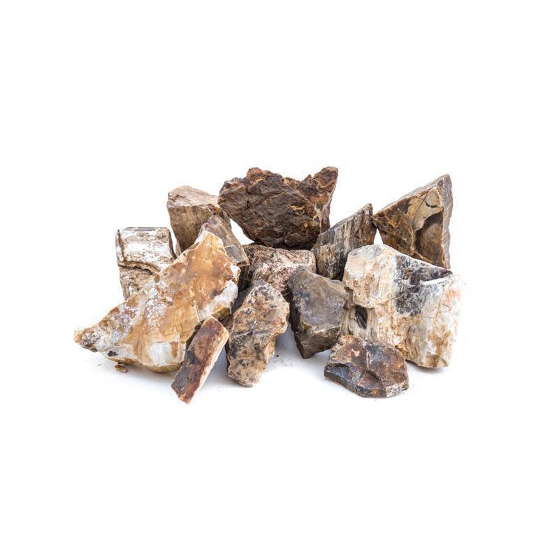 1kg Aquarium Petrified Wood Stone Aquascaping Fossilized Wood Stone