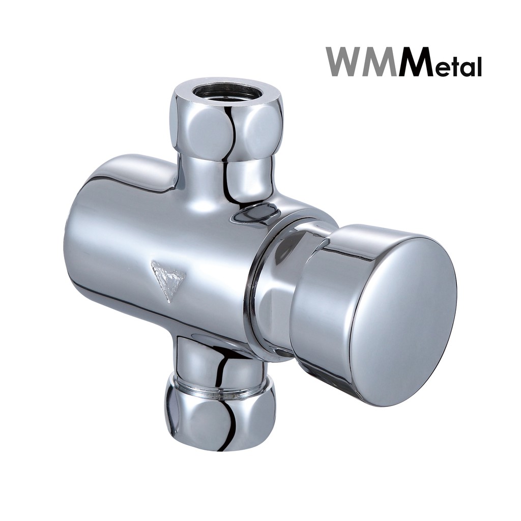 Exposed Auto shut off time delay shower valve public beach shower valve