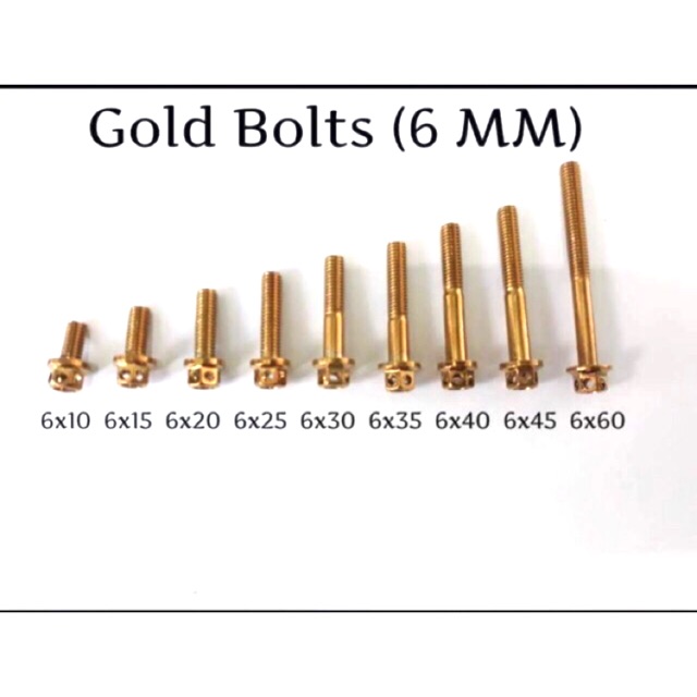 Thailand Gold Bolts 6mm sold for 5pcs set Shopee Philippines
