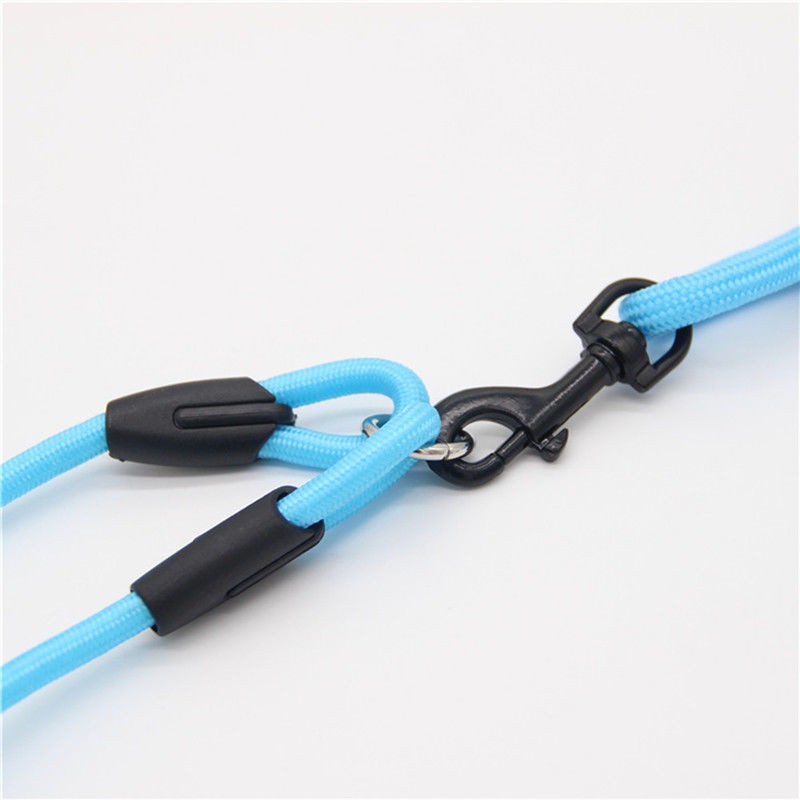 doubleheaded dog leash Two Dogs One Tow Teddy VIP Golden Retriever