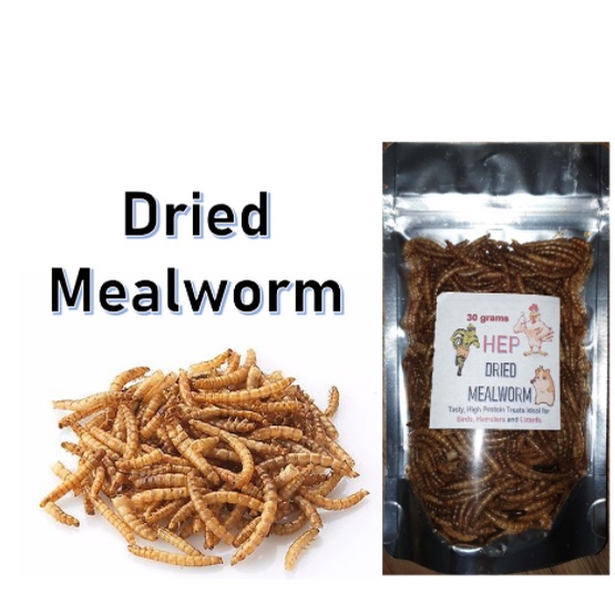 Dried Mealworm / Hep Dried Meal worm 15 grams 30 grams 150 grams