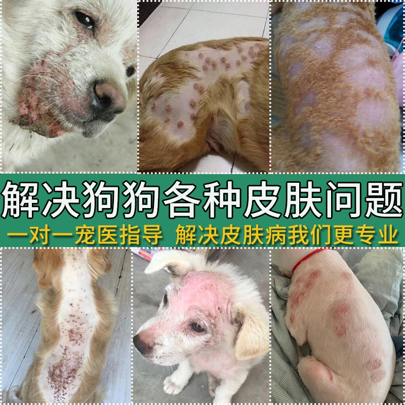 Dog hair removal skin disease drugs for external use treatment dog body