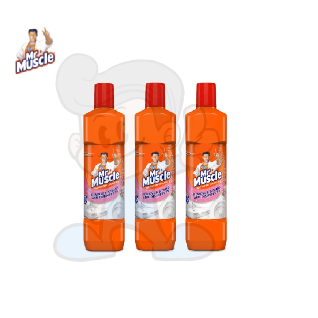 SCJ Mr Muscle Bathroom Cleaner Floral (3 x 450 mL) Shopee Philippines