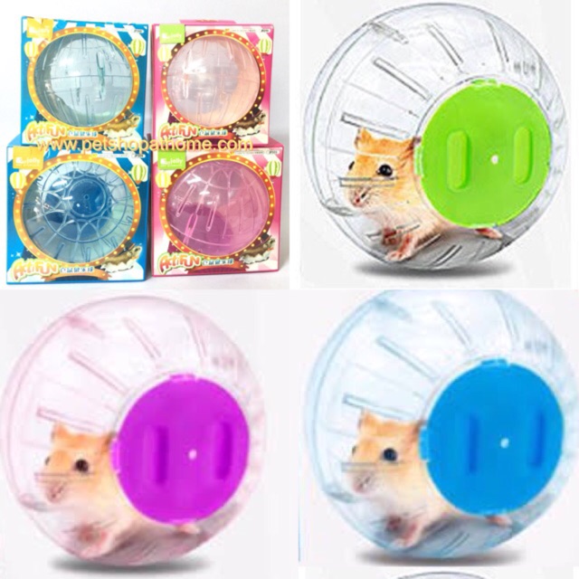 Hamster Balls Come In 2 Sizes. Shopee Philippines