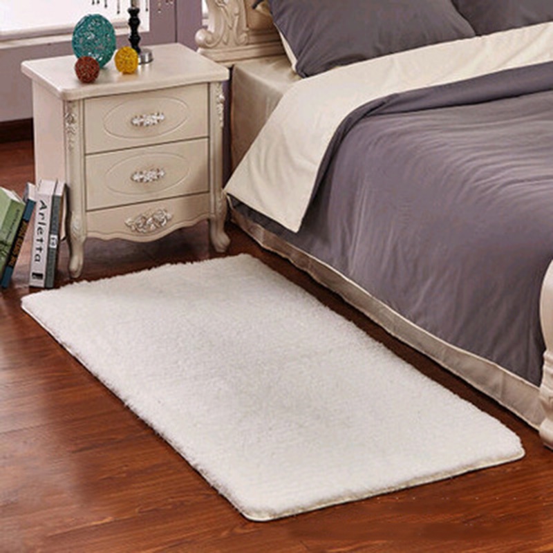 HOMEYOUNG Super Thick Soft Deluxe Arctic Velvet Fluffy Doormat Rugs