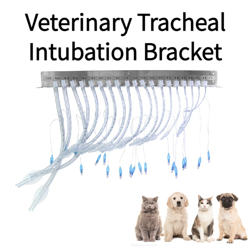 Disposable Endotracheal Tube Hanger 304 Stainless Steel Hanger