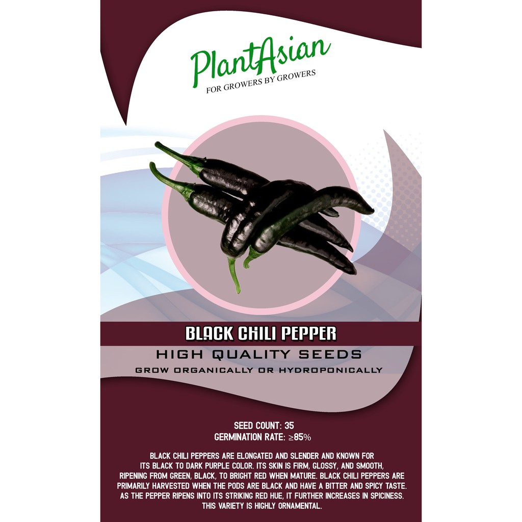 BLACK CHILI PEPPER SEEDS Shopee Philippines
