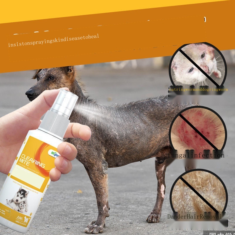 ☏Cat and dog fungal skin disease cat moss topical dermatitis eczema cat