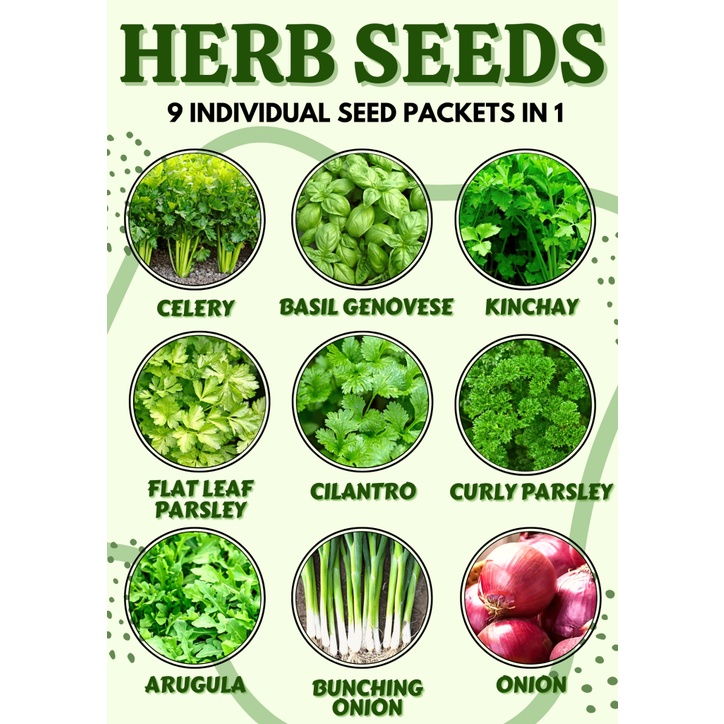 HERB SEED/BASIL/ONION/BUNCHING ONION/CURLY & FLAT LEAF PARSLEY/CELERY